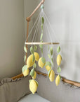 Lemon mobile
