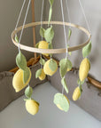Lemon mobile